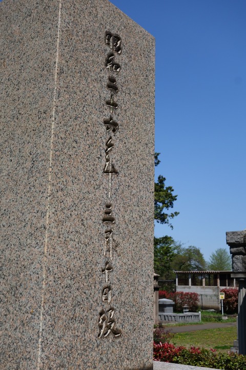13d