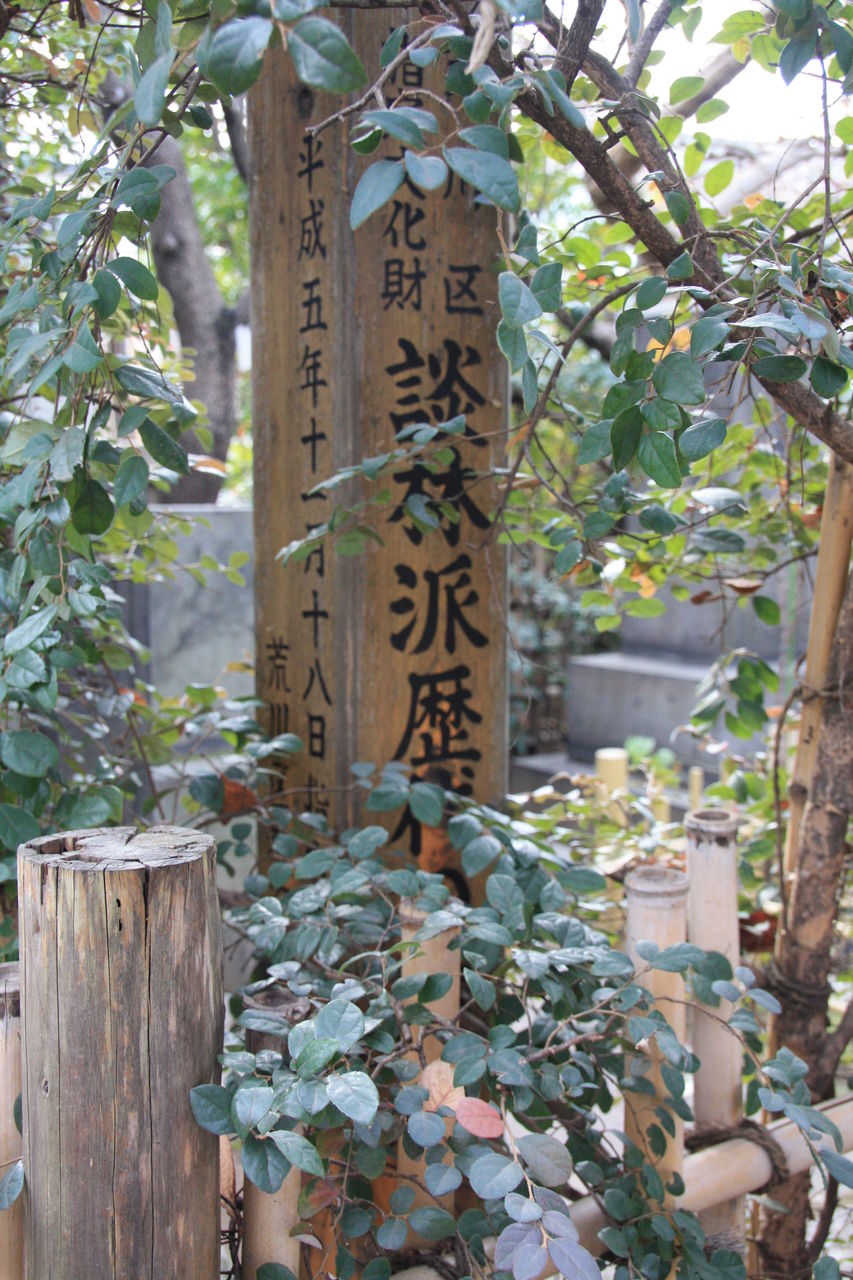 談林風