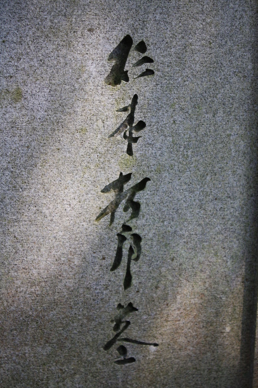【中古】 自身に目覚めん 「愚禿非歎述懐」和讃に聞く/樹心社/松扉哲雄 Amazon.co.jp: 自身に目覚めん: 愚禿悲嘆述懐和讃に聞く : 松扉