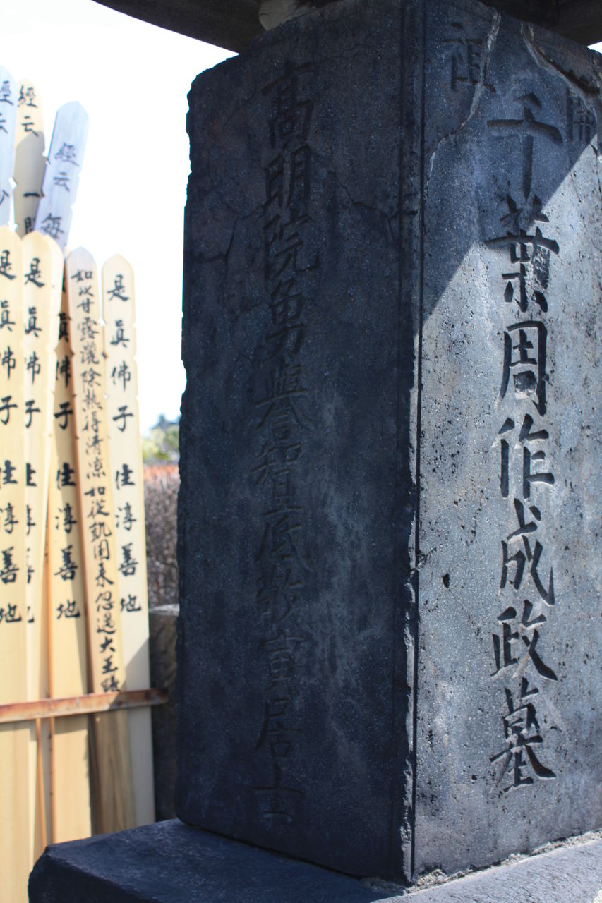 千葉周作遺稿 千葉栄一郎著 31njlFzlRAL.jpg_BO30,255,255,