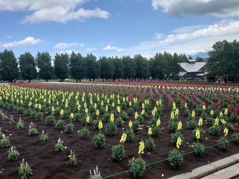 3f