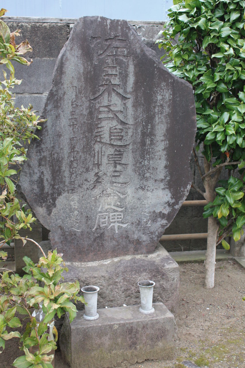 忍耐の記念碑 4枚 忍耐の記念碑/Monument to Endurance 【日本語版】 [DFT-灰R