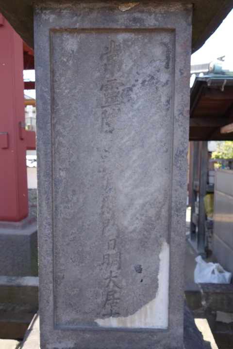 31b