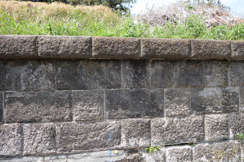 6c