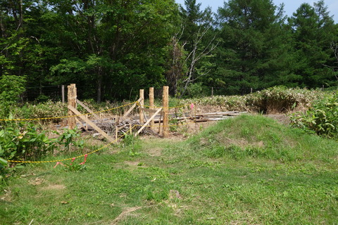 DSC07825