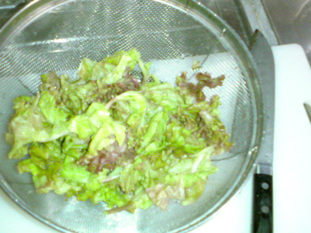 1816076f.jpg
