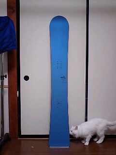 3faa012f.jpg