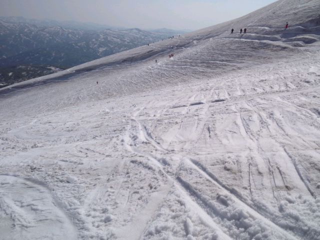55c00230.jpg