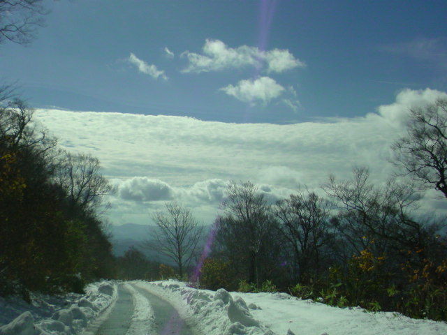 f11d05d1.jpg