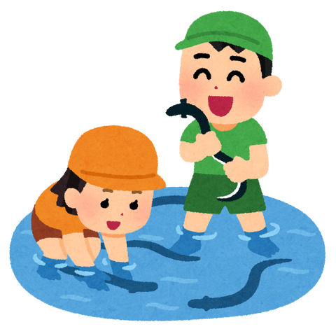 悲報 国産ウナギさん 全く消費されずに余りまくり廃棄される ほのぼの日和