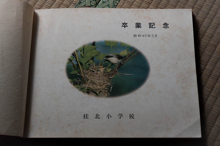 廃工場-49