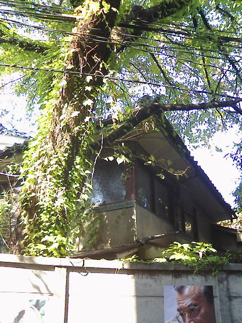 二子玉川駅前の激変ぶり 仄暗いお散歩