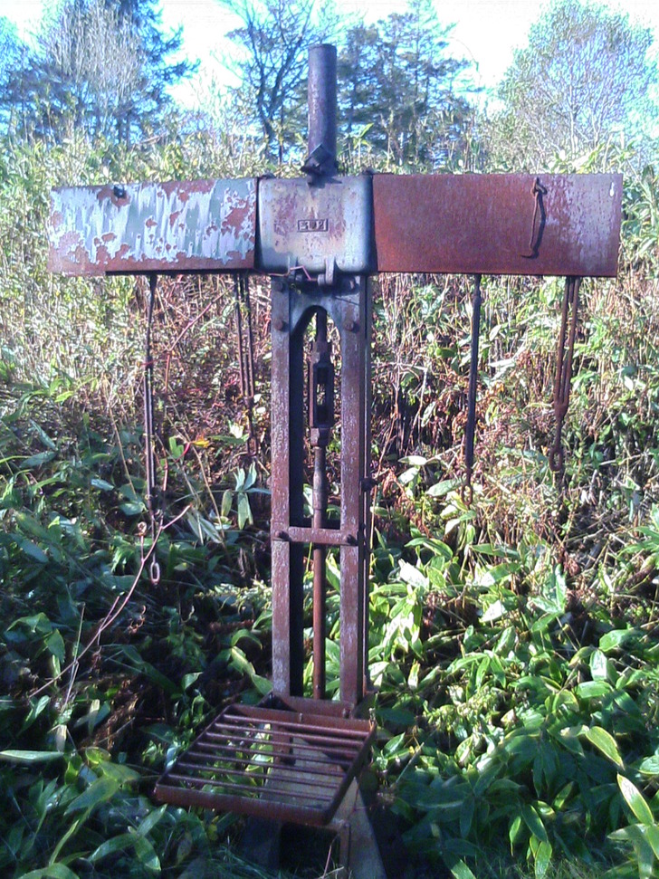 指示器