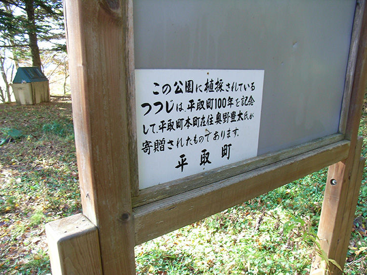 ハヨピラ 奥野