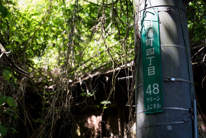 田浦-105