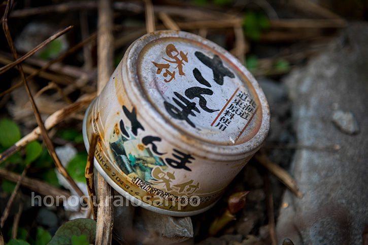 小岩-35