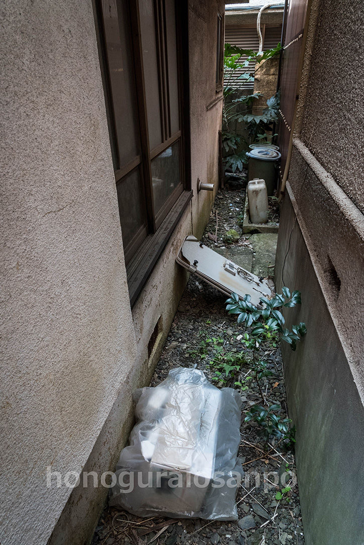 小岩-9
