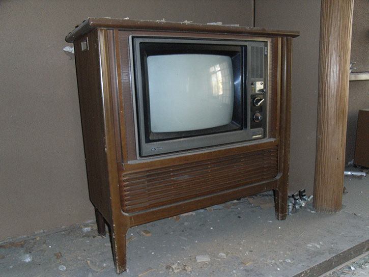 白鳥湖 テレビ