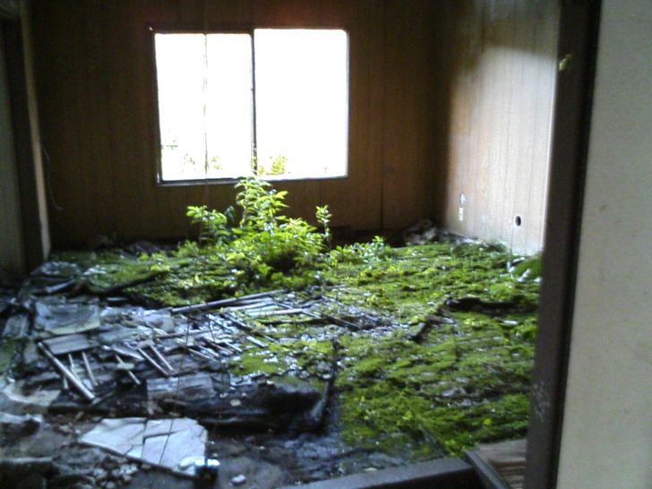 三楽荘 園芸