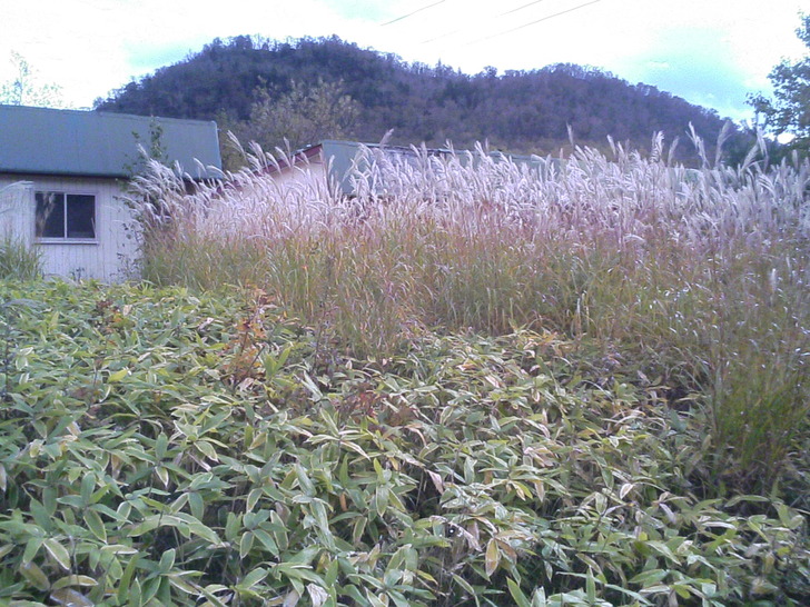 山々