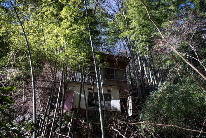 相模湖-229