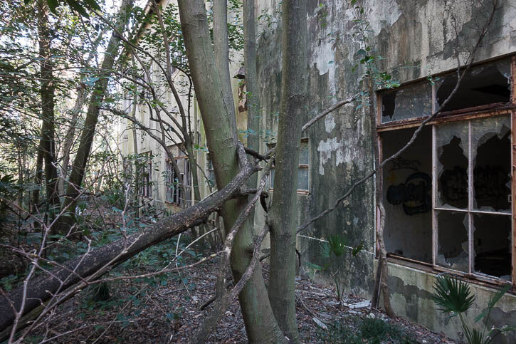 府中基地RX-155