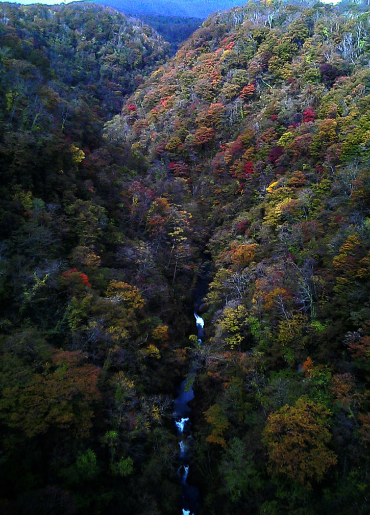 天華園 谷