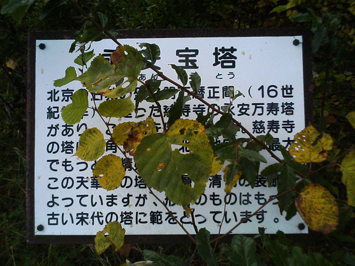 天華園 枝木