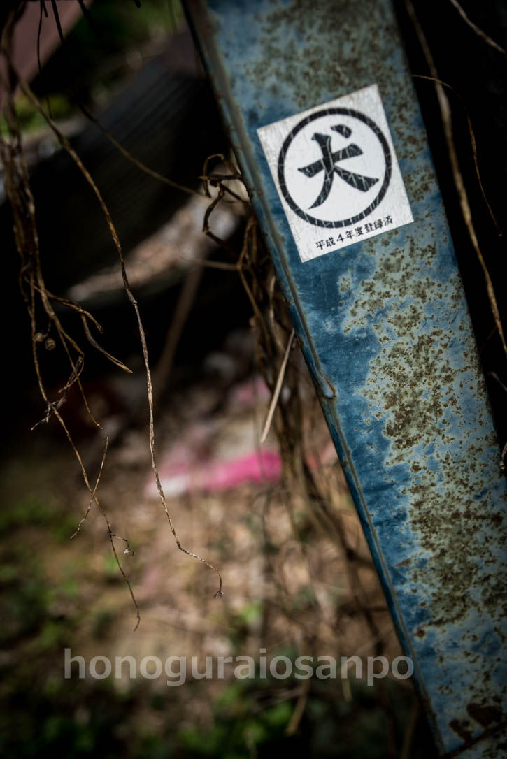 高月城-2