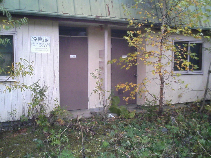 こちらです