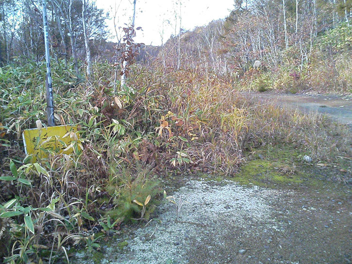 チニカ山荘 荒れた道
