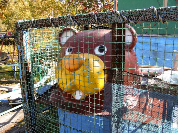 白鳥湖遊園地-39