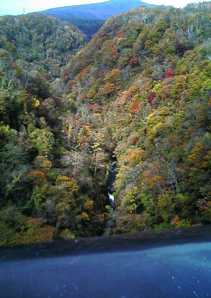 天華園 谷橋