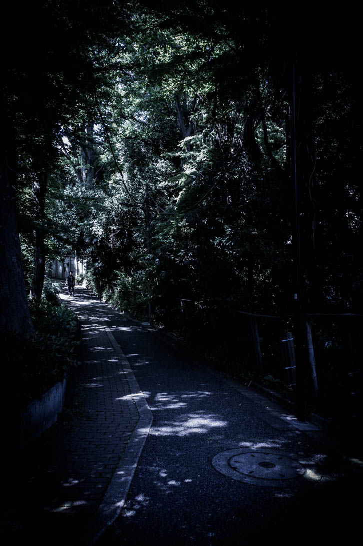 道-1