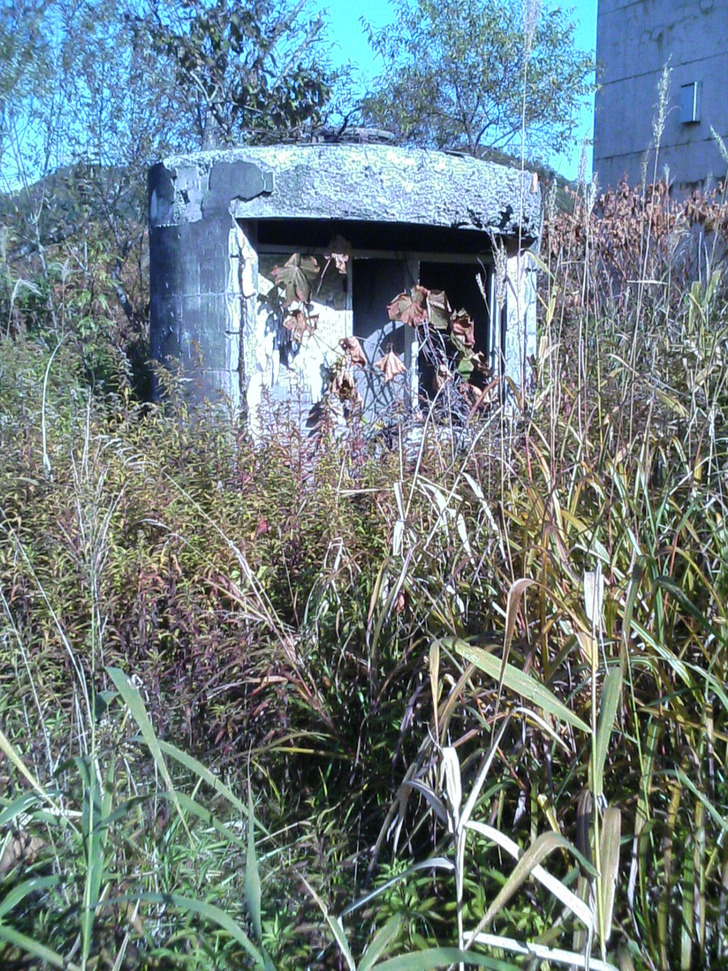 建物小