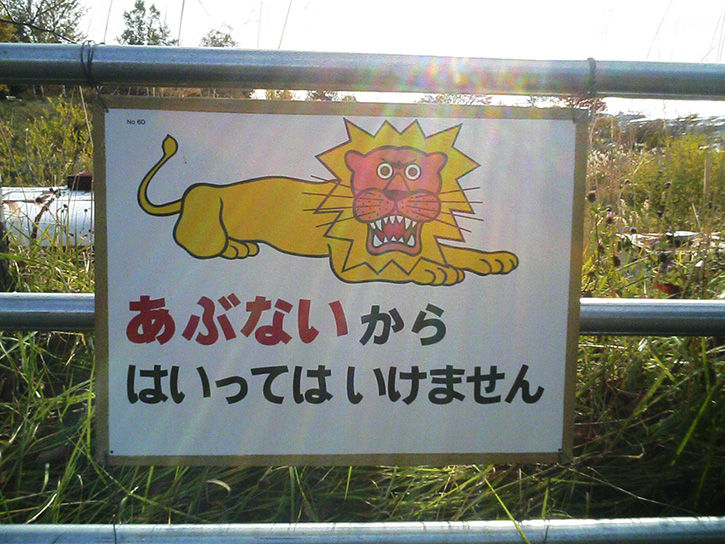 洞爺湖幼稚園 ライオン