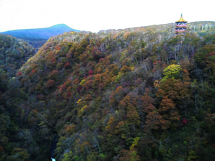 天華園 山