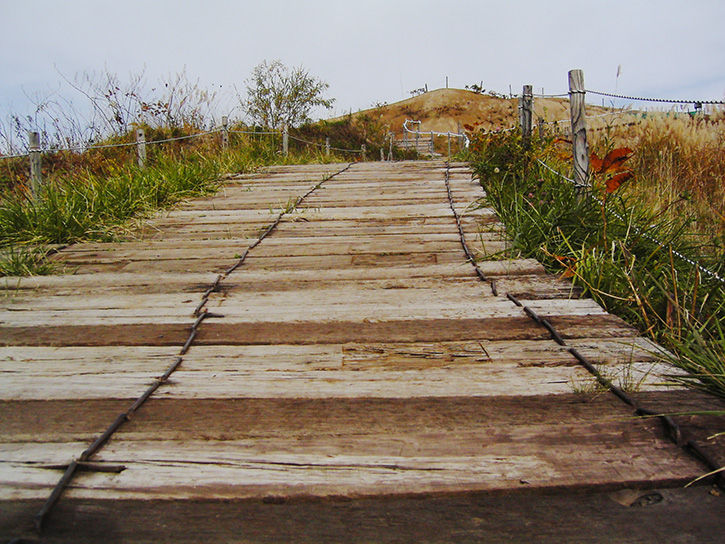 洞爺湖遺構 遊歩道