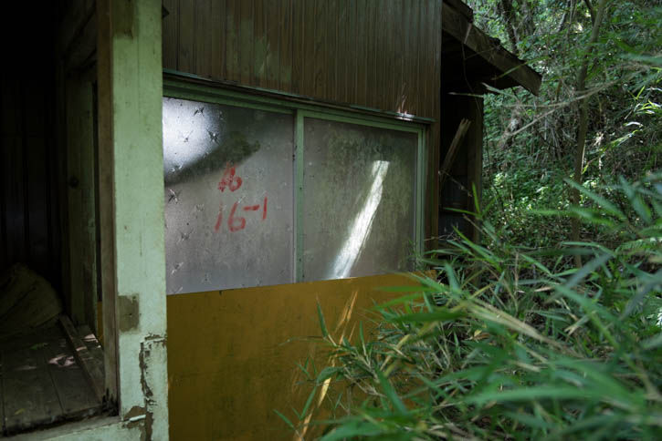 田浦-144