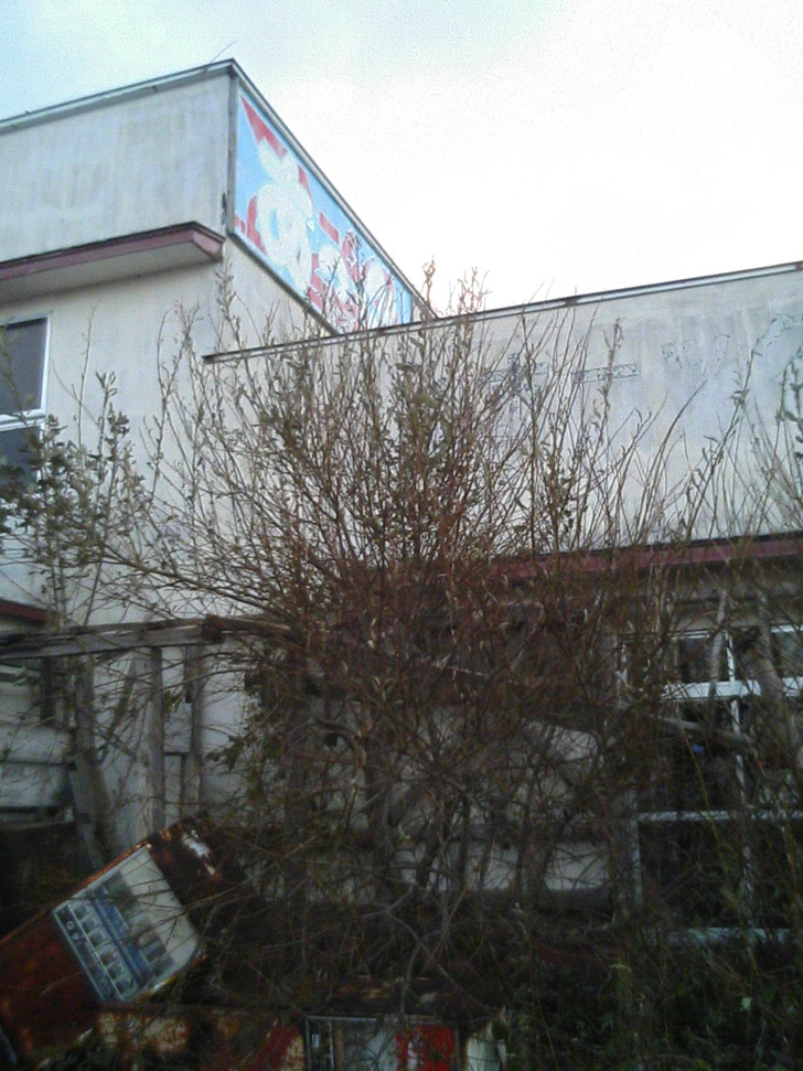 裏
