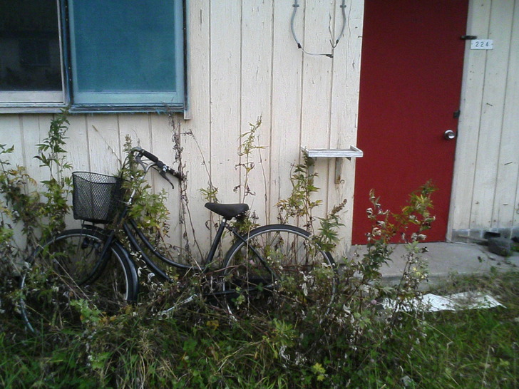 自転車