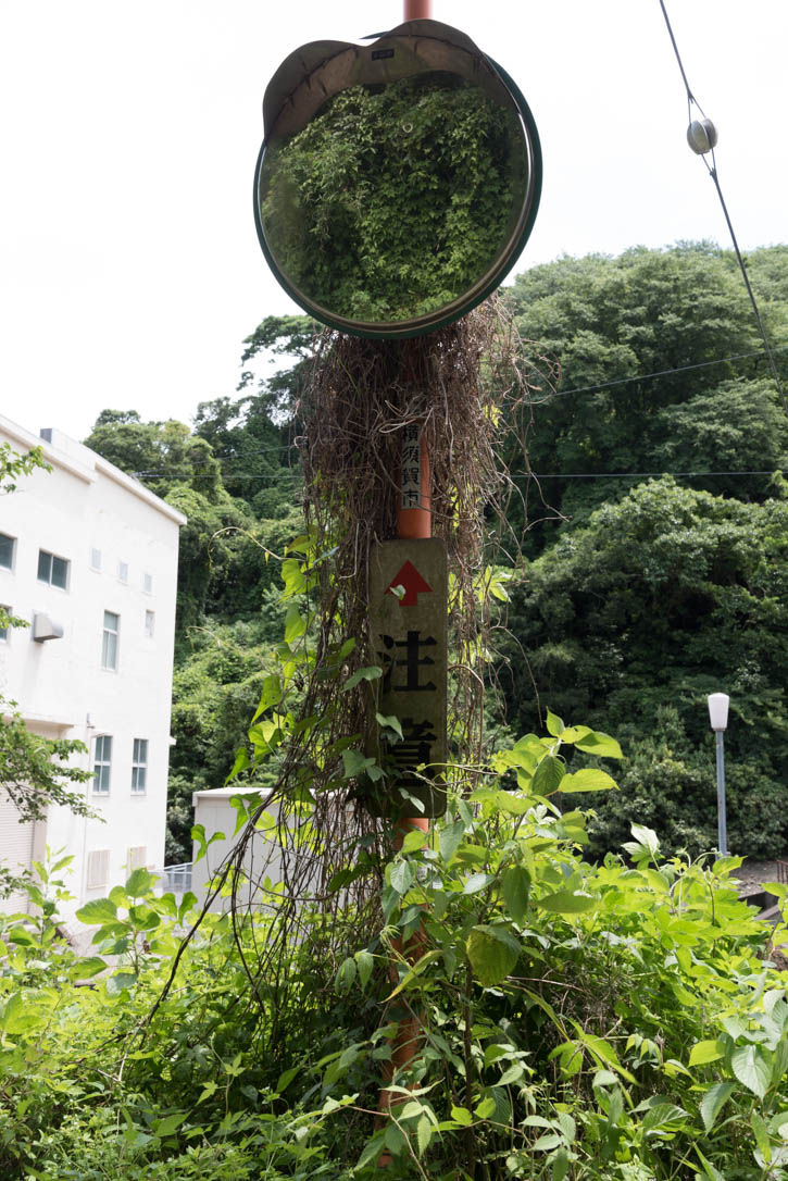 田浦-226