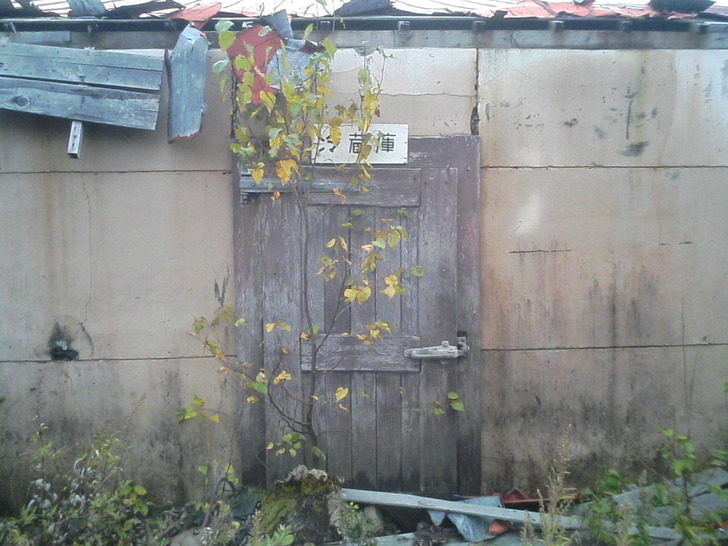 冷蔵庫