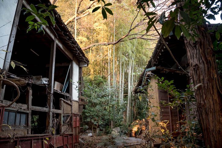 吉祥寺-188