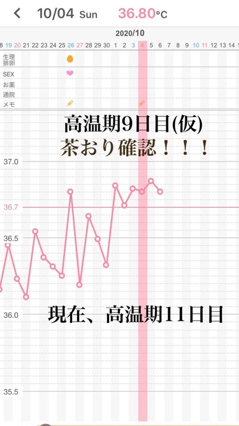 結婚 専業主婦になりました 三年目