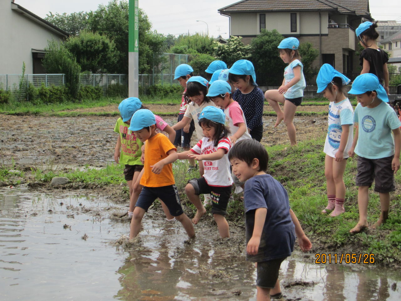 泥んこプール O 本宿小学校 米作り 農園通信