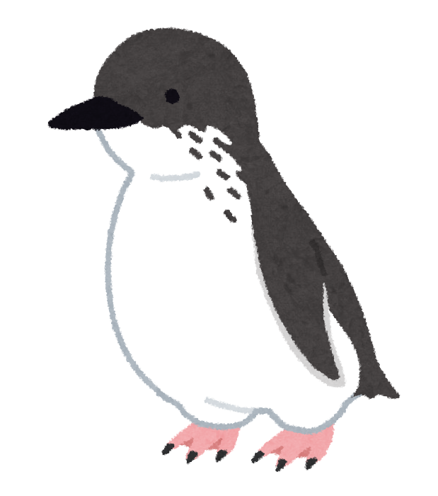 画像あり ペンギンさん カメラマンに寄ってきてしまうwwwwww ほんわか速報 画像あり ペンギンさん カメラマンに寄ってきてしまうwwwwww ほんわか速報