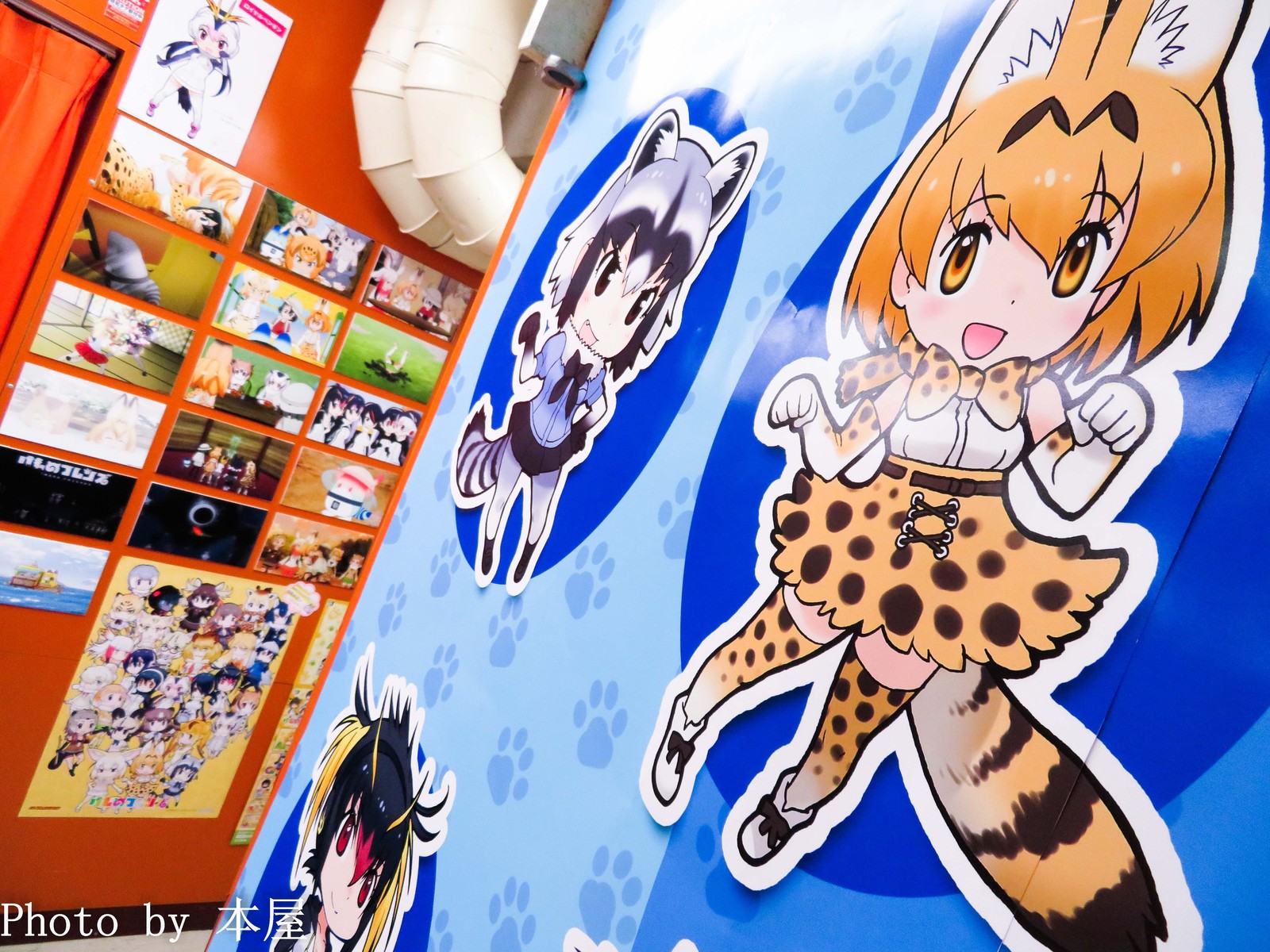 店内に隠れたフレンズをさがす かくれんぼフレンズ も開催 けものフレンズbd付きオフィシャルガイドブック 6巻 発売記念 けものフレンズ ミニミュージアムが開催 アキバな本屋 店内に隠れたフレンズをさがす かくれんぼフレンズ も開催 けものフレンズbd付きオフィシャルガイドブック 6巻 発売記念 けものフレンズ ミニミュージアムが開催 アキバな本屋