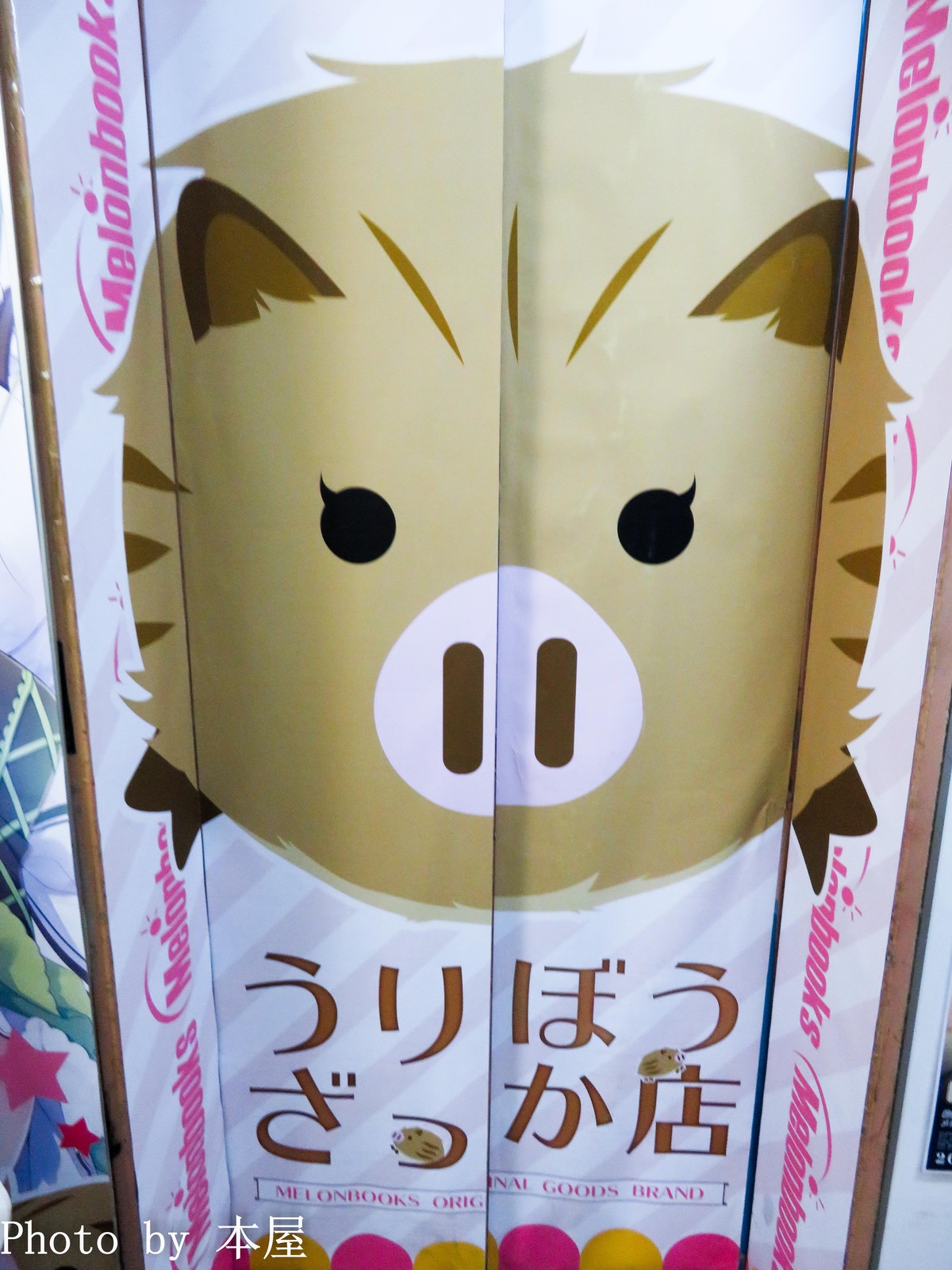 うりぼうざっか店 メロンブックス kino Wスエード B2 タペストリー 