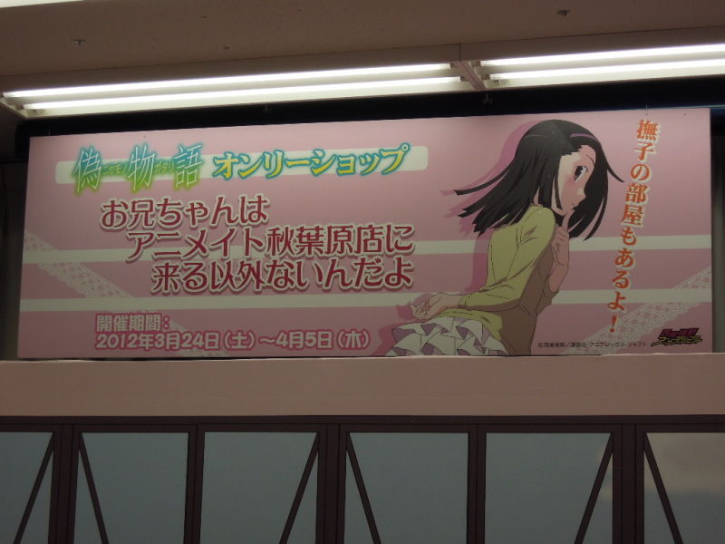 全国のお兄ちゃん 撫子の部屋にお呼ばれだ 偽物語オンリーショップ アキバな本屋